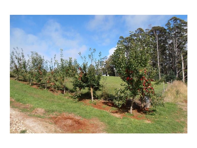 423 Upper Natone Road, Natone TAS 7321