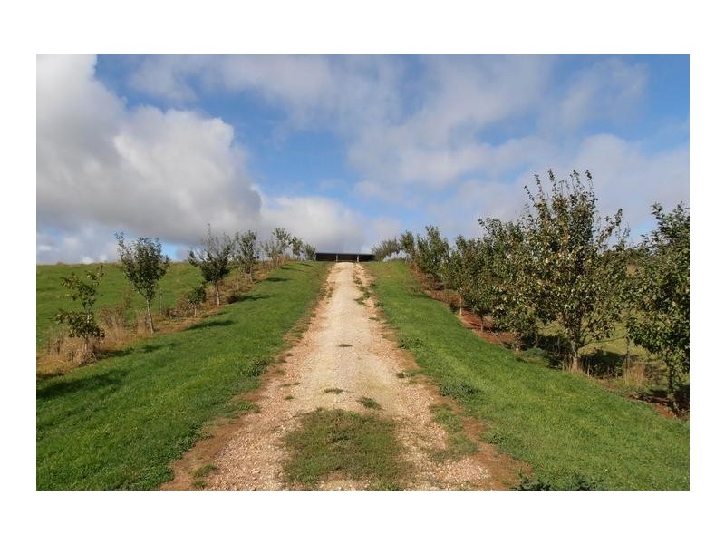 423 Upper Natone Road, Natone TAS 7321