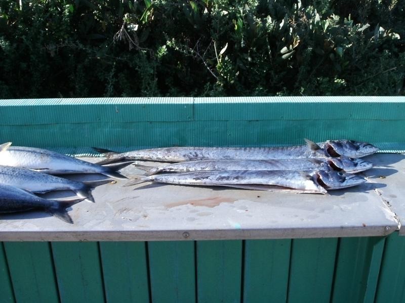 33 Sice Ave, Heybridge TAS 7316