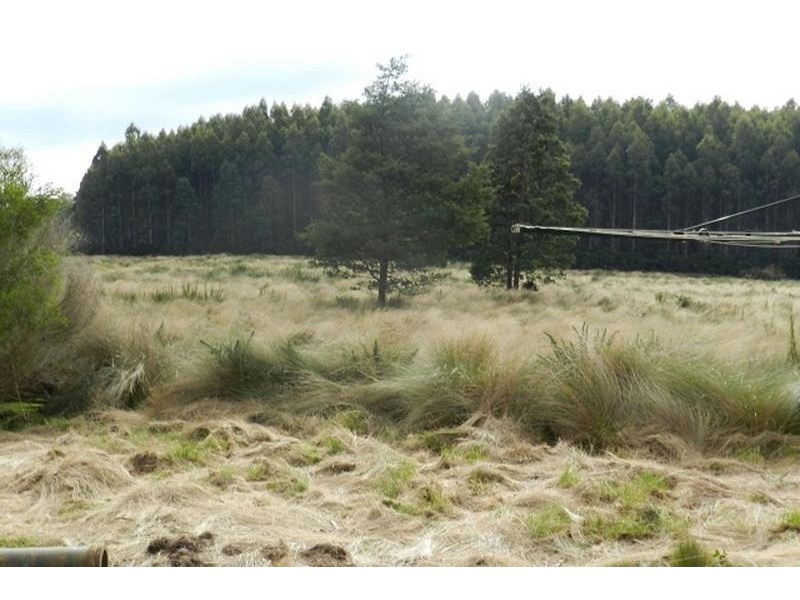 2218 Upper Natone Road, Hampshire TAS 7321