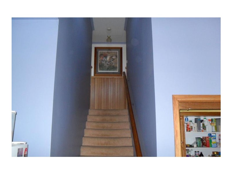 1181 West Mooreville Road, Ridgley TAS 7321