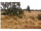 587 Main Street, Waratah TAS 7321