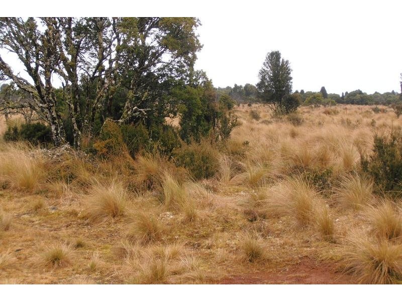 587 Main Street, Waratah TAS 7321