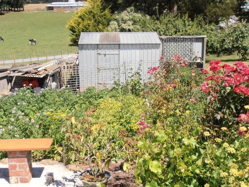 934 Ridgley Road,, Ridgley TAS 7321