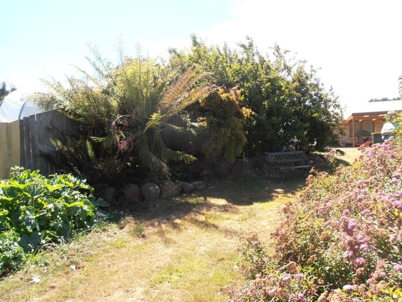 934 Ridgley Road,, Ridgley TAS 7321