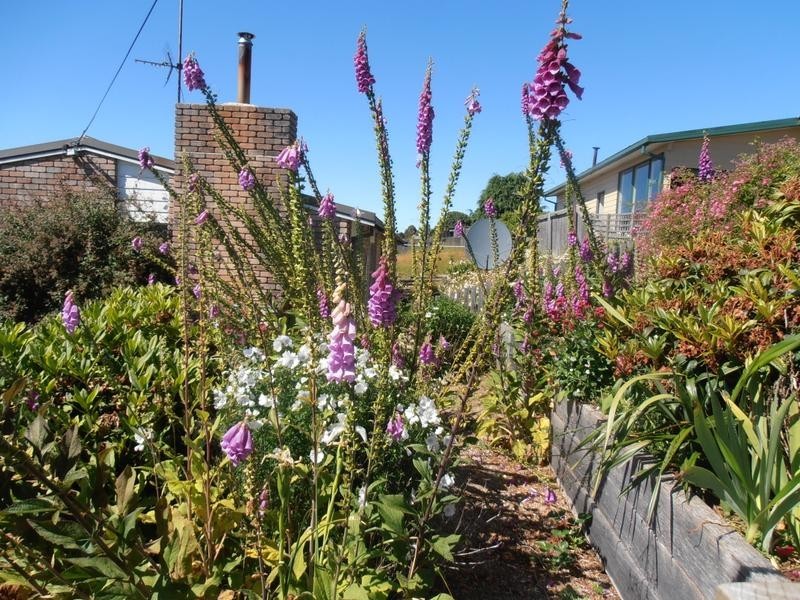 4 Collins Street,, Waratah TAS 7321