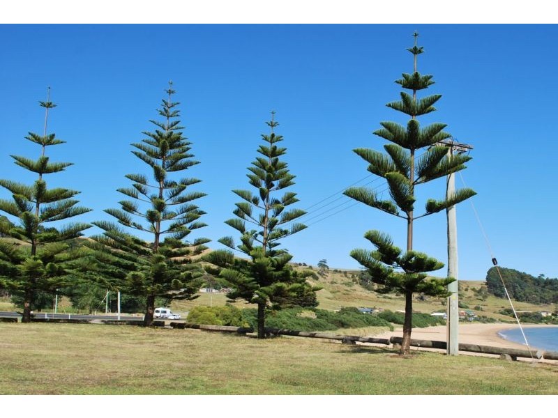 Preservation Drive,, Penguin TAS 7316