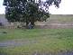1077 South Riana Road, South Riana TAS 7316