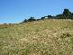 Byworth Street, Burnie TAS 7320