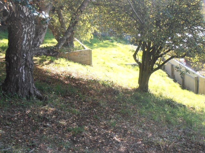 11-13 Grand View Avenue, Burnie TAS 7320
