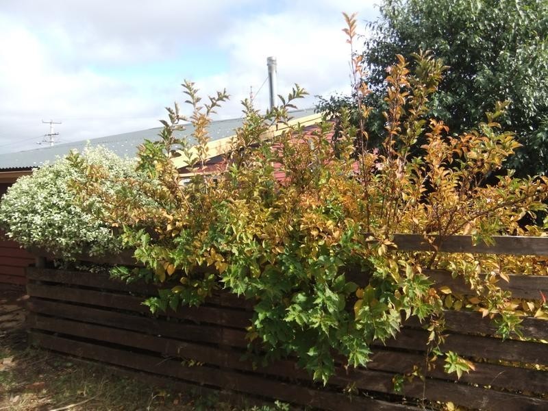 23 Little Quiggin Street,, Waratah TAS 7321