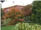 23 Little Quiggin Street,, Waratah TAS 7321