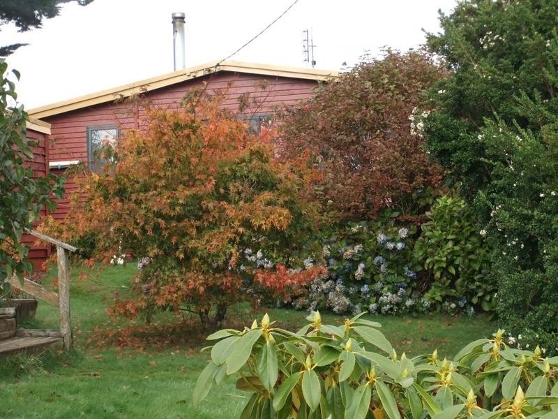 23 Little Quiggin Street,, Waratah TAS 7321