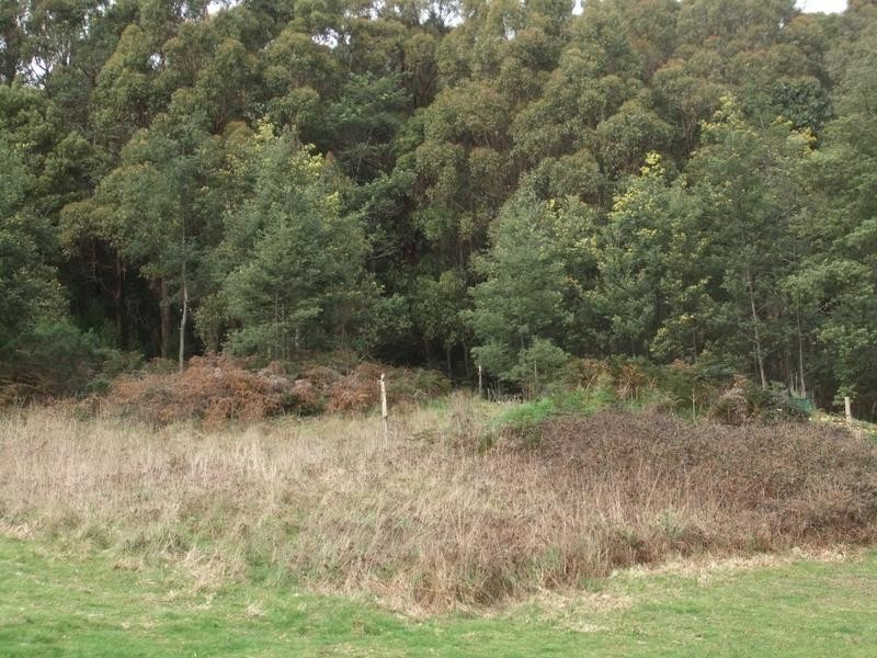 579 Ironcliffe Road, Penguin TAS 7316