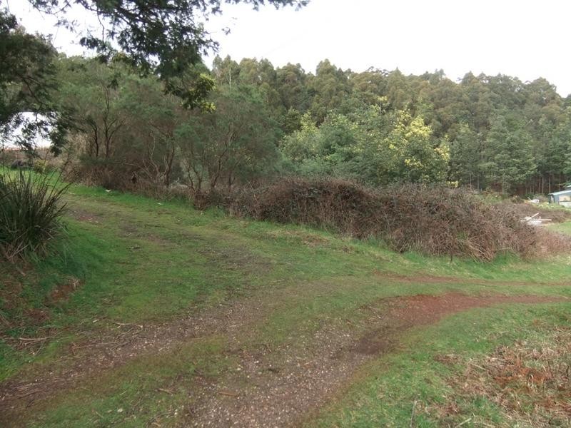 579 Ironcliffe Road, Penguin TAS 7316