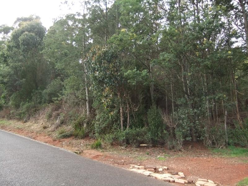 579 Ironcliffe Road, Penguin TAS 7316