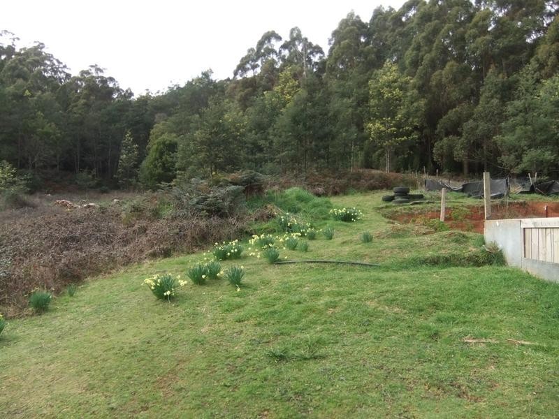 579 Ironcliffe Road, Penguin TAS 7316