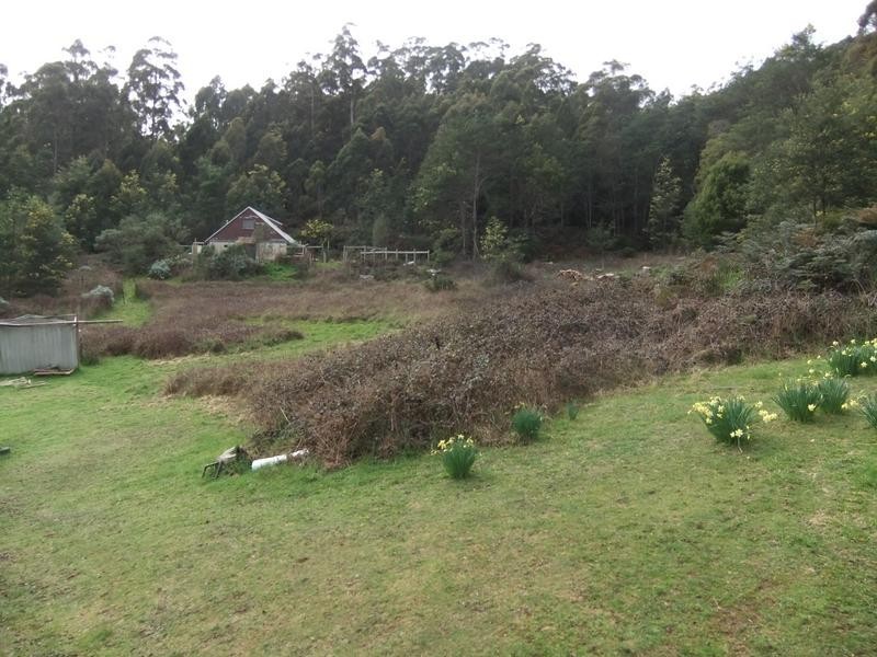 579 Ironcliffe Road, Penguin TAS 7316