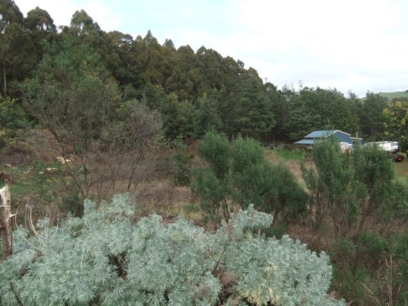 579 Ironcliffe Road, Penguin TAS 7316