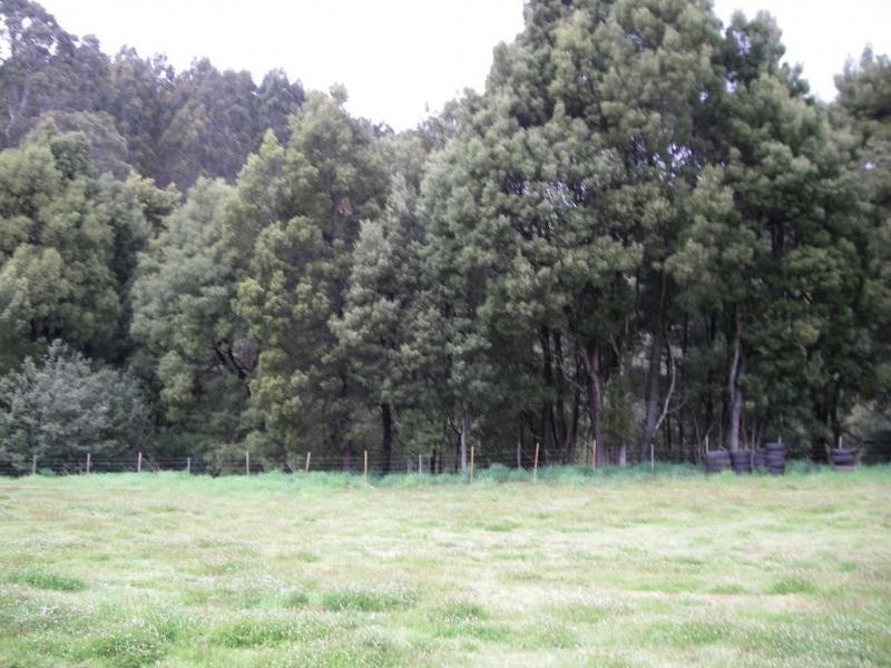 61A Manuka Dr, Romaine TAS 7320