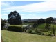 691 Ridgley Highway,, Ridgley TAS 7321