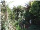 133 Brickport Road, Park Grove TAS 7320
