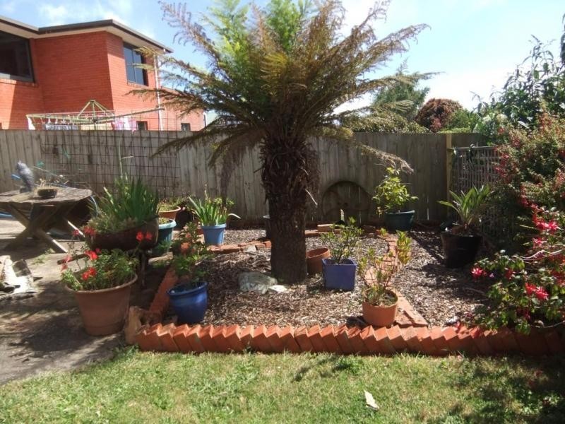 133 Brickport Road, Park Grove TAS 7320