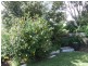 133 Brickport Road, Park Grove TAS 7320