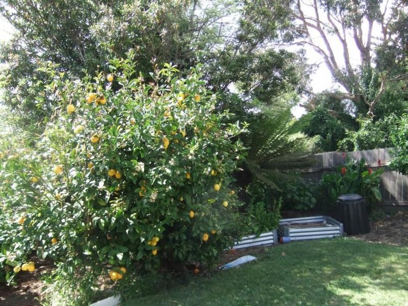 133 Brickport Road, Park Grove TAS 7320