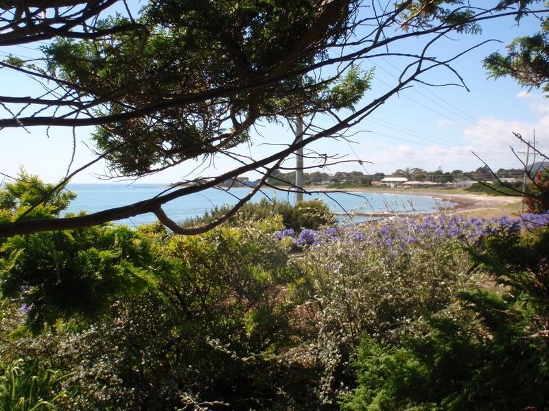 93 Old Bass Highway, Wynyard TAS 7325