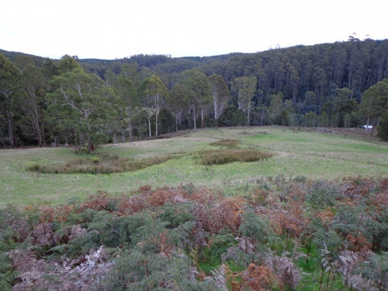 80 Central Castra Road,, Sprent TAS 7315