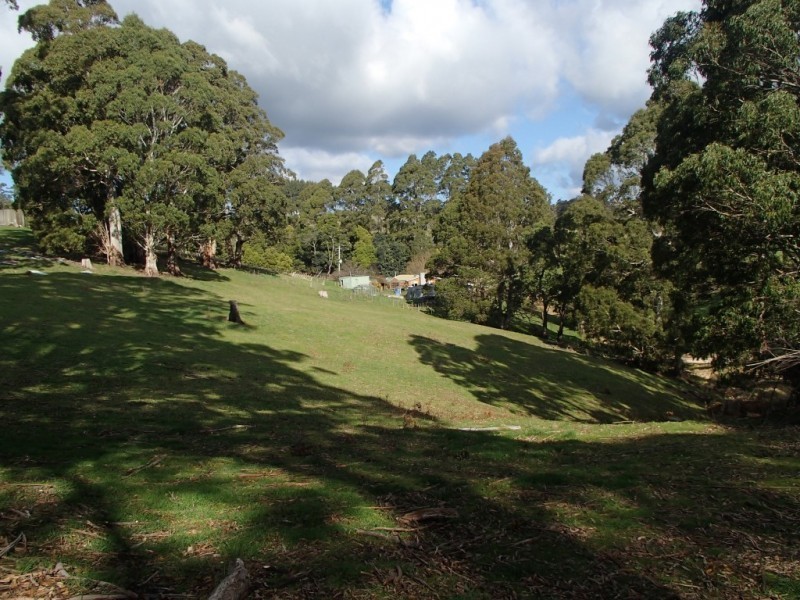 80 Central Castra Road,, Sprent TAS 7315