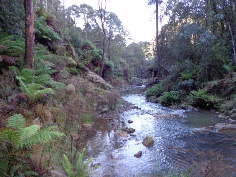 80 Central Castra Road,, Sprent TAS 7315