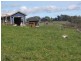 159 Nunns Road, Elliott TAS 7325