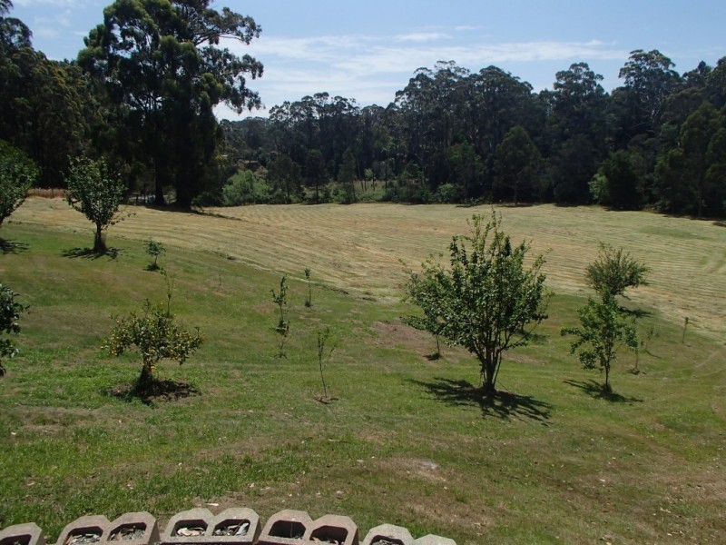 51 Back Cam Road, Somerset TAS 7322