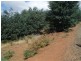 Upper Natone Road, Upper Natone TAS 7321