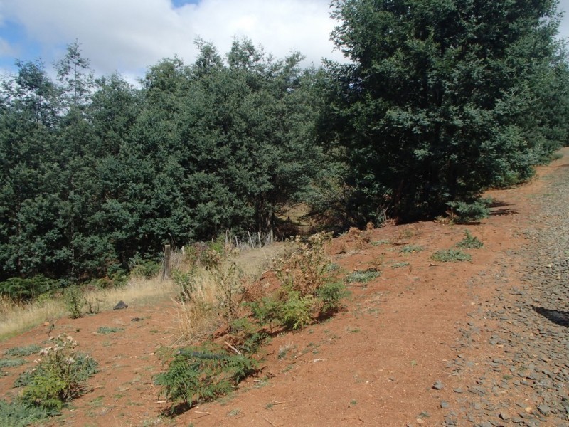 Upper Natone Road, Upper Natone TAS 7321