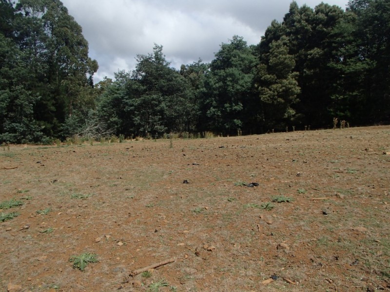 Upper Natone Road, Upper Natone TAS 7321