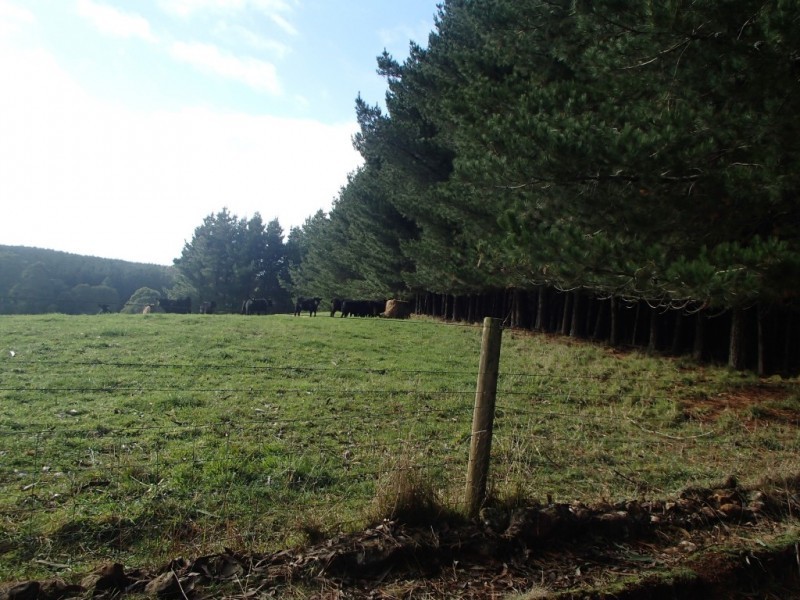 140 Liapota Road, Tewkesbury TAS 7321