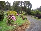 388 Back Cam Road, Somerset TAS 7322