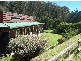 388 Back Cam Road, Somerset TAS 7322