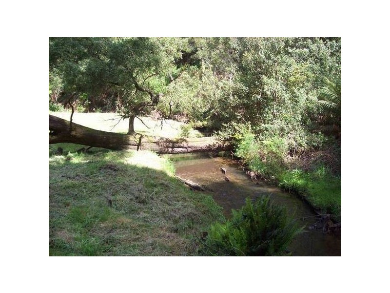 388 Back Cam Road, Somerset TAS 7322