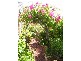 24 Uplands Place, Burnie TAS 7320