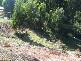 155 Dowling Drive, Burnie TAS 7320