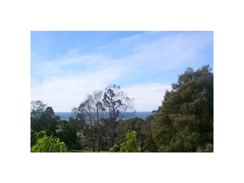 Pelissier, Somerset TAS 7322