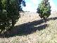 Dowling Drive, Burnie TAS 7320