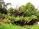 18 Pleasant Street, Burnie TAS 7320