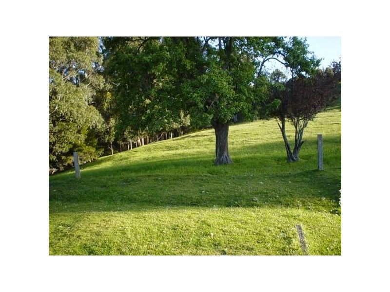 Back Cam Road, Somerset TAS 7322