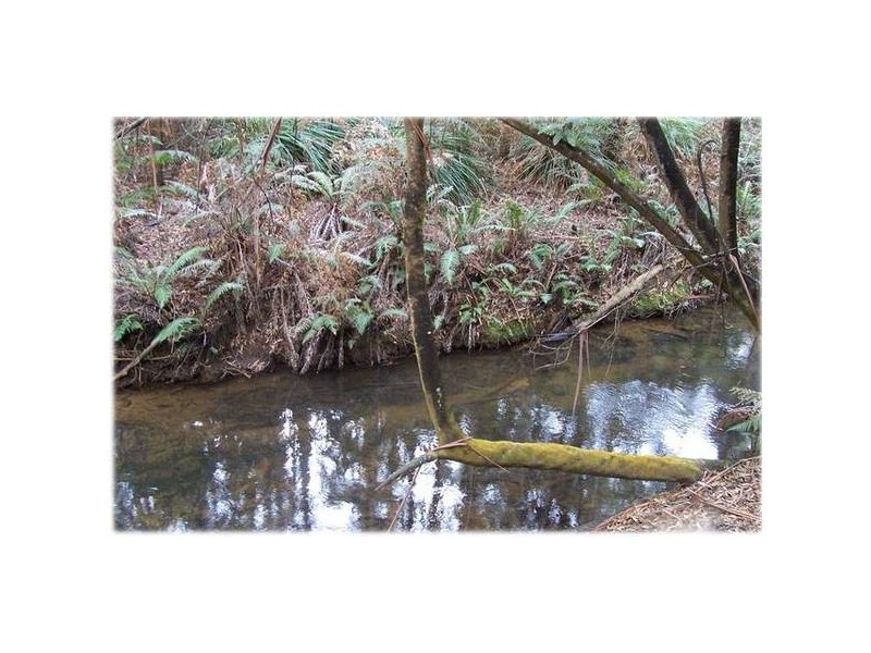 Back Cam Road, Somerset TAS 7322