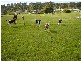Back Cam Road, Somerset TAS 7322